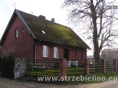 staraszkola